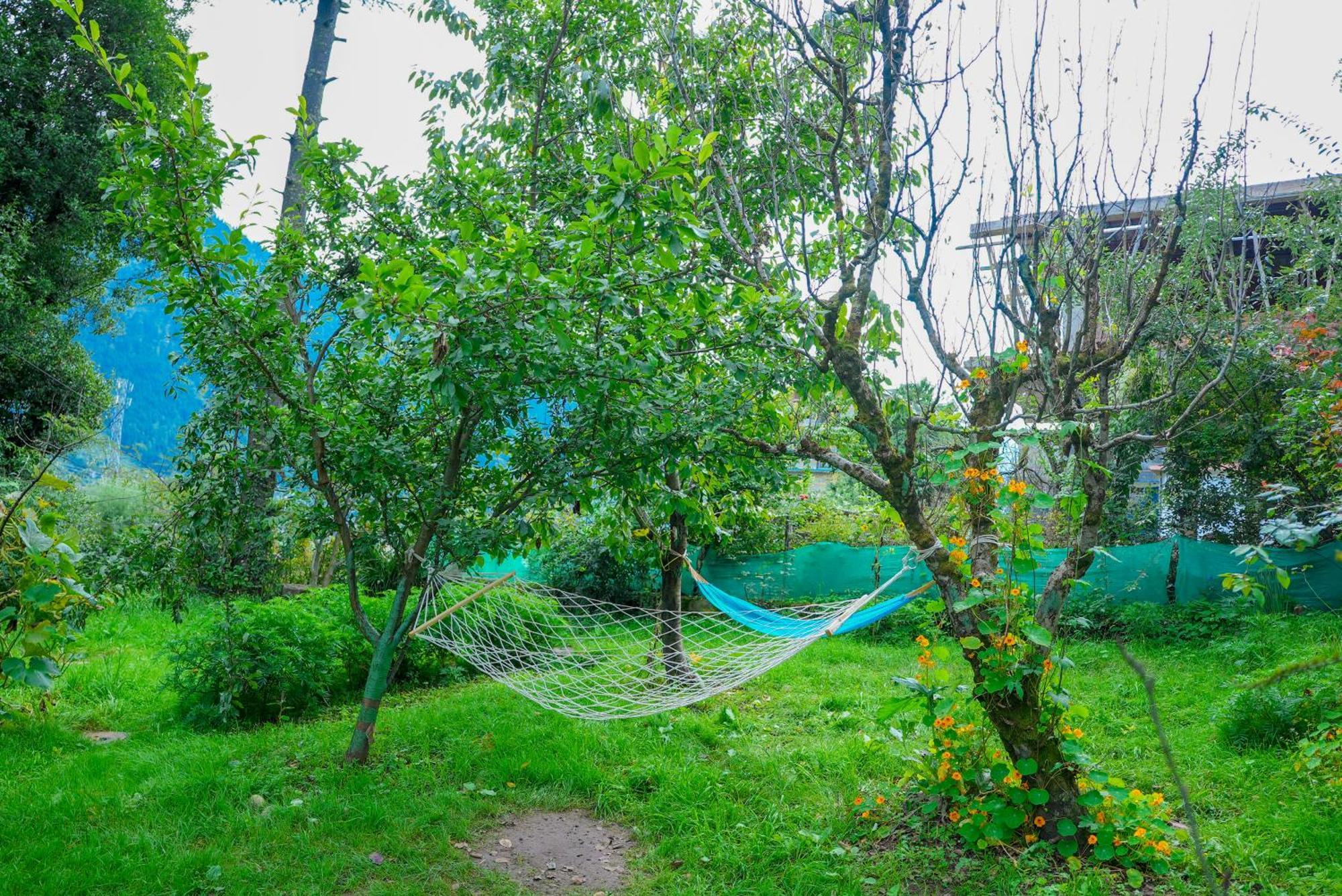 Nature Valley View Resort Manali 2 Bedrooms Luxury Cottages And Valley View Manāli Exterior foto